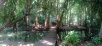 20250419_105420.jpg 20250419_105420.jpg