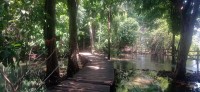 20250419_105502.jpg 20250419_105502.jpg