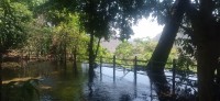 20250419_105510.jpg 20250419_105510.jpg