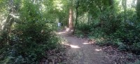 20250419_105556.jpg 20250419_105556.jpg