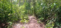20250419_110148.jpg 20250419_110148.jpg