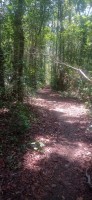 20250419_110236.jpg 20250419_110236.jpg