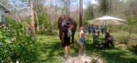 20250419_133940.jpg 20250419_133940.jpg