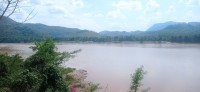 20250419_141515.jpg 20250419_141515.jpg