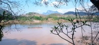 20250419_152743.jpg 20250419_152743.jpg