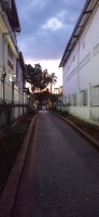 20250419_184624.jpg 20250419_184624.jpg