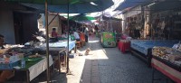 20250420_093354.jpg 20250420_093354.jpg