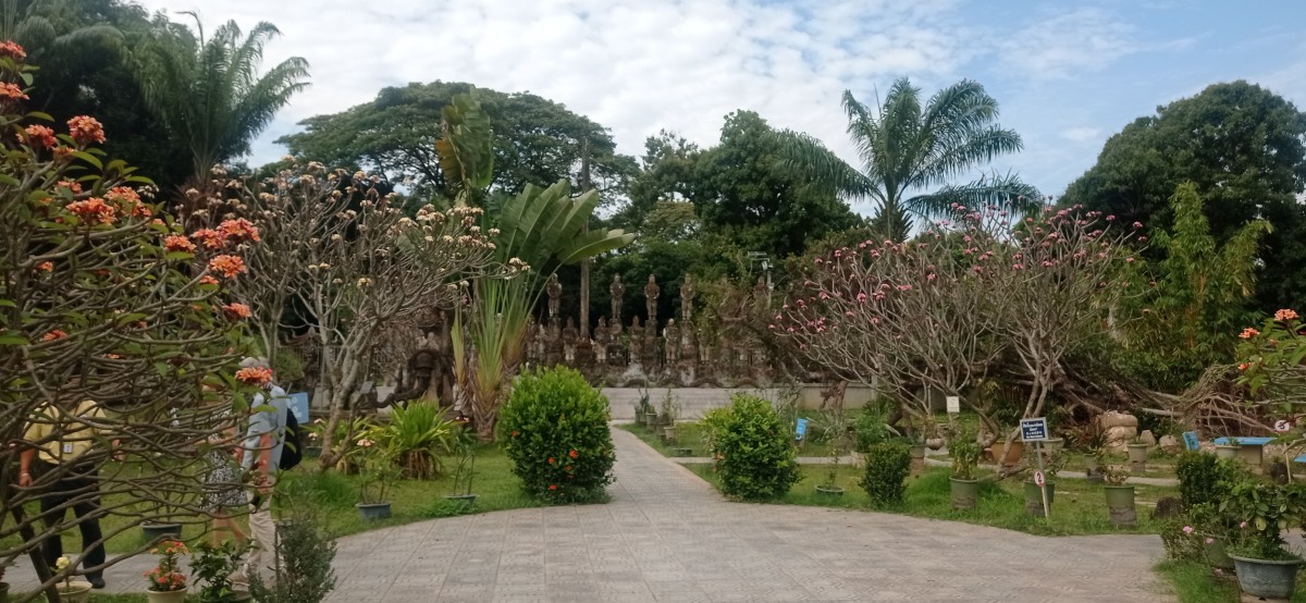 20250417_091519.jpg
