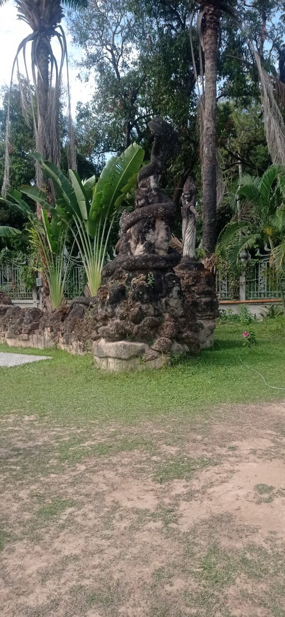 20250417_094441.jpg
