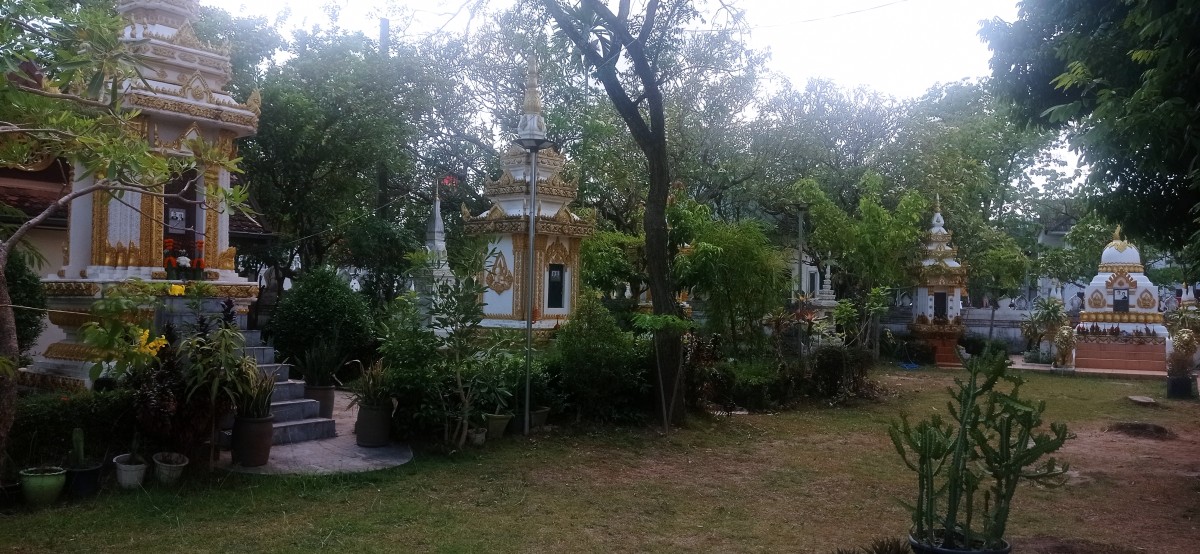 20250417_141319.jpg