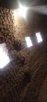 20250417_091909.jpg 20250417_091909.jpg