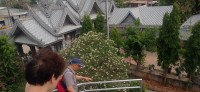 20250417_092228.jpg 20250417_092228.jpg