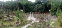 20250417_092259.jpg 20250417_092259.jpg