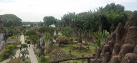 20250417_092353.jpg 20250417_092353.jpg