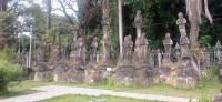 20250417_093901.jpg 20250417_093901.jpg
