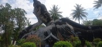 20250417_094130.jpg 20250417_094130.jpg