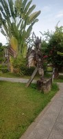 20250417_094244.jpg 20250417_094244.jpg