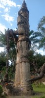 20250417_094314.jpg 20250417_094314.jpg