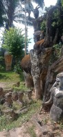 20250417_095038.jpg 20250417_095038.jpg