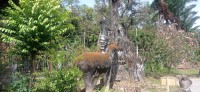 20250417_095217.jpg 20250417_095217.jpg