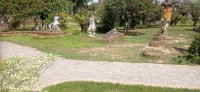 20250417_095514.jpg 20250417_095514.jpg