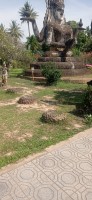 20250417_095555.jpg 20250417_095555.jpg
