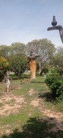 20250417_095628.jpg 20250417_095628.jpg