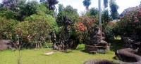 20250417_095828.jpg 20250417_095828.jpg