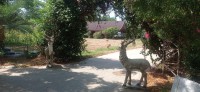 20250417_100027.jpg 20250417_100027.jpg