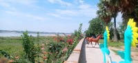 20250417_100214.jpg 20250417_100214.jpg