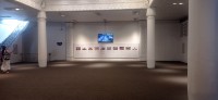 20250417_120311.jpg 20250417_120311.jpg