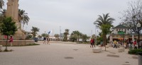 20250503_201720.jpg