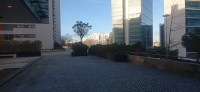 20260219_170632.jpg
