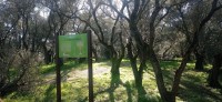 20260220_093655.jpg