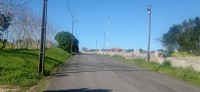 20260220_112339.jpg