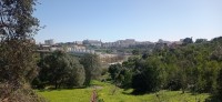 20260220_120344.jpg