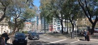 20260220_130809.jpg