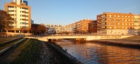 20260221_074215.jpg
