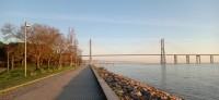 20260221_074356.jpg