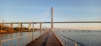 20260221_075013.jpg