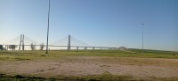 20260221_081310.jpg