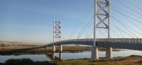 20260221_081532.jpg