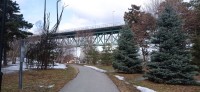 20260313_114806.jpg