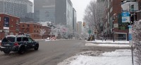 20260314_094307.jpg