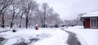 20260314_102155.jpg