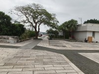 20260404_092309.jpg