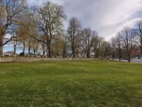 20260424_181826.jpg