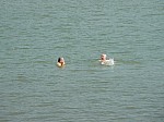 400390.jpg 400390.jpg