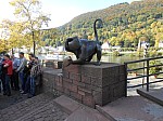 0784.jpg 0784.jpg
