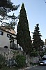 5873.jpg 5873.jpg